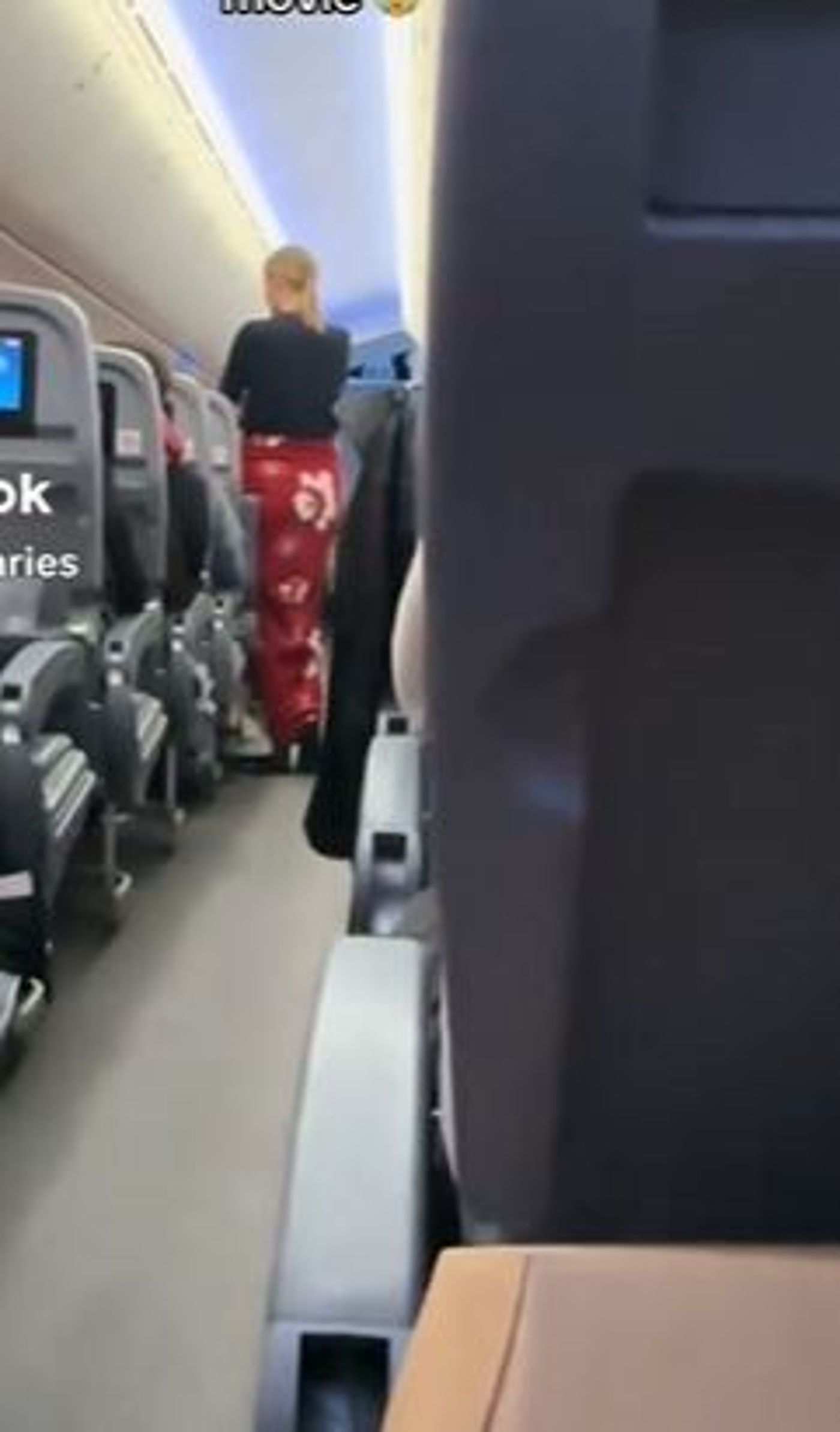 הרשת השתגעה: מה גרם לאישה לעמוד במשך 7 שעות טיסה?