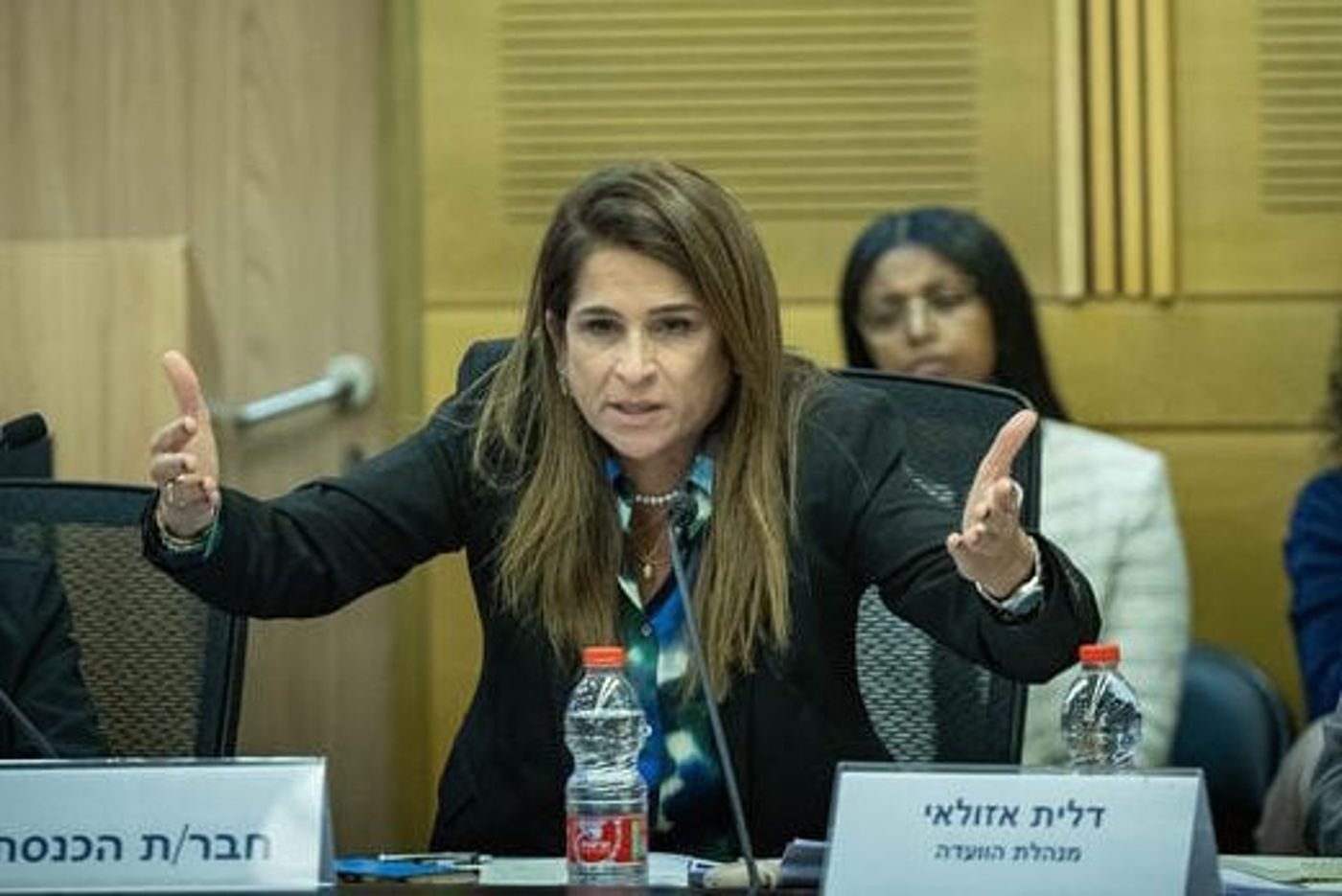 מירב בן ארי נחרדת: למה פעילי השמאל עצורים כמו מחבלים?