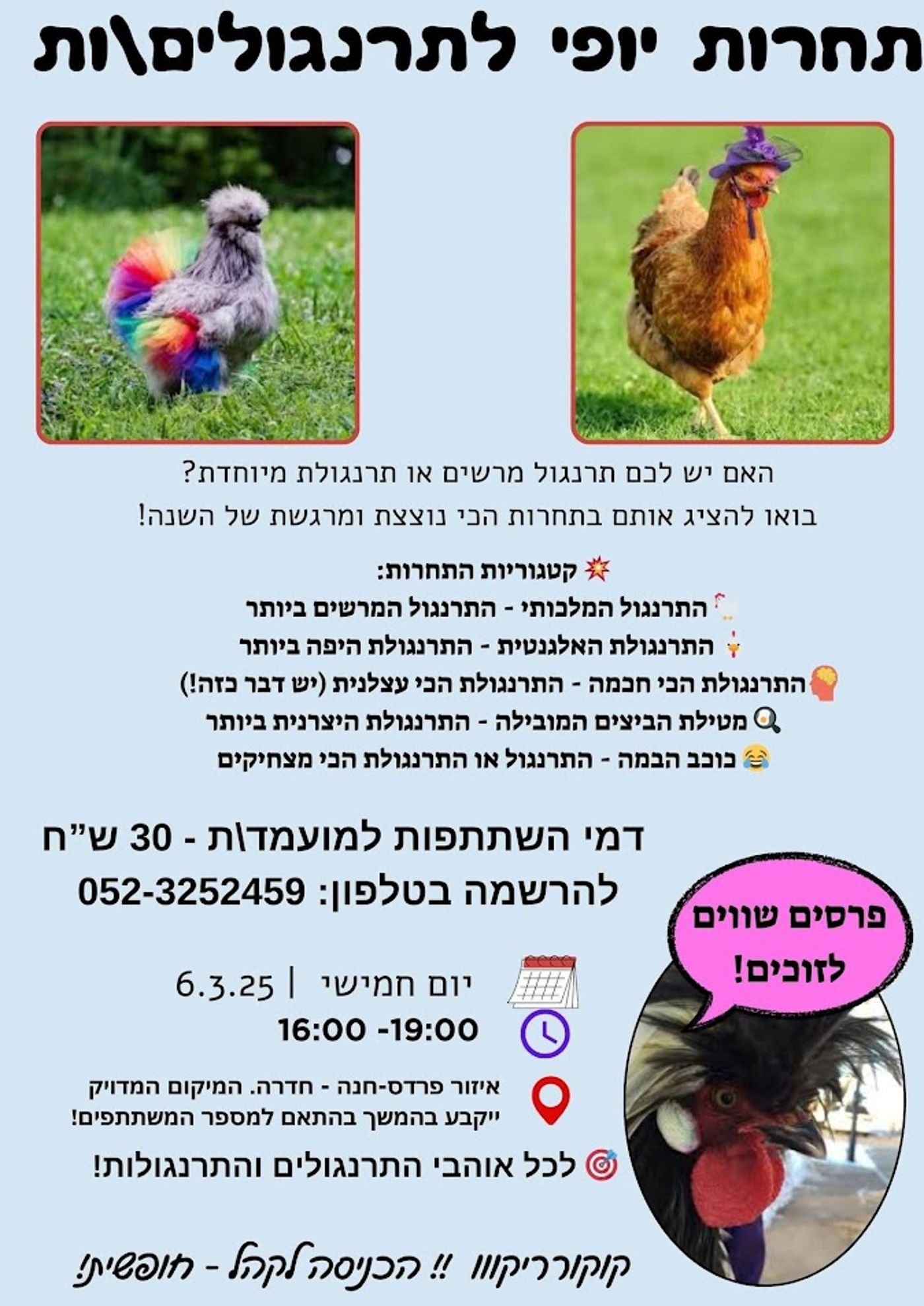 הנכם מוזמנים – תחרות יופי לתרנגולות בפרדס חנה