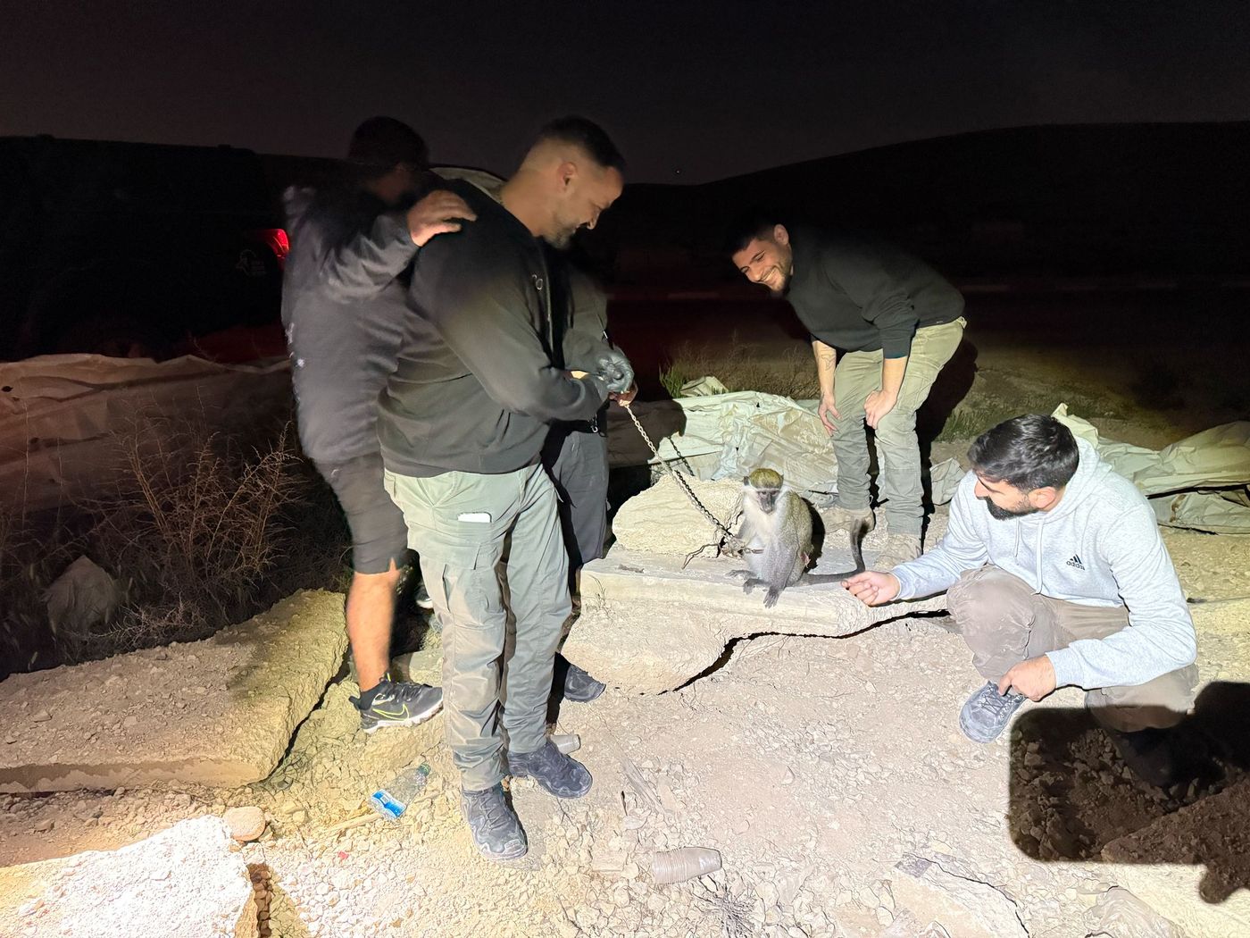 מכת מדינה: קוף פצוע נוסף אותר קשור בשלשלות בנגב | תיעוד