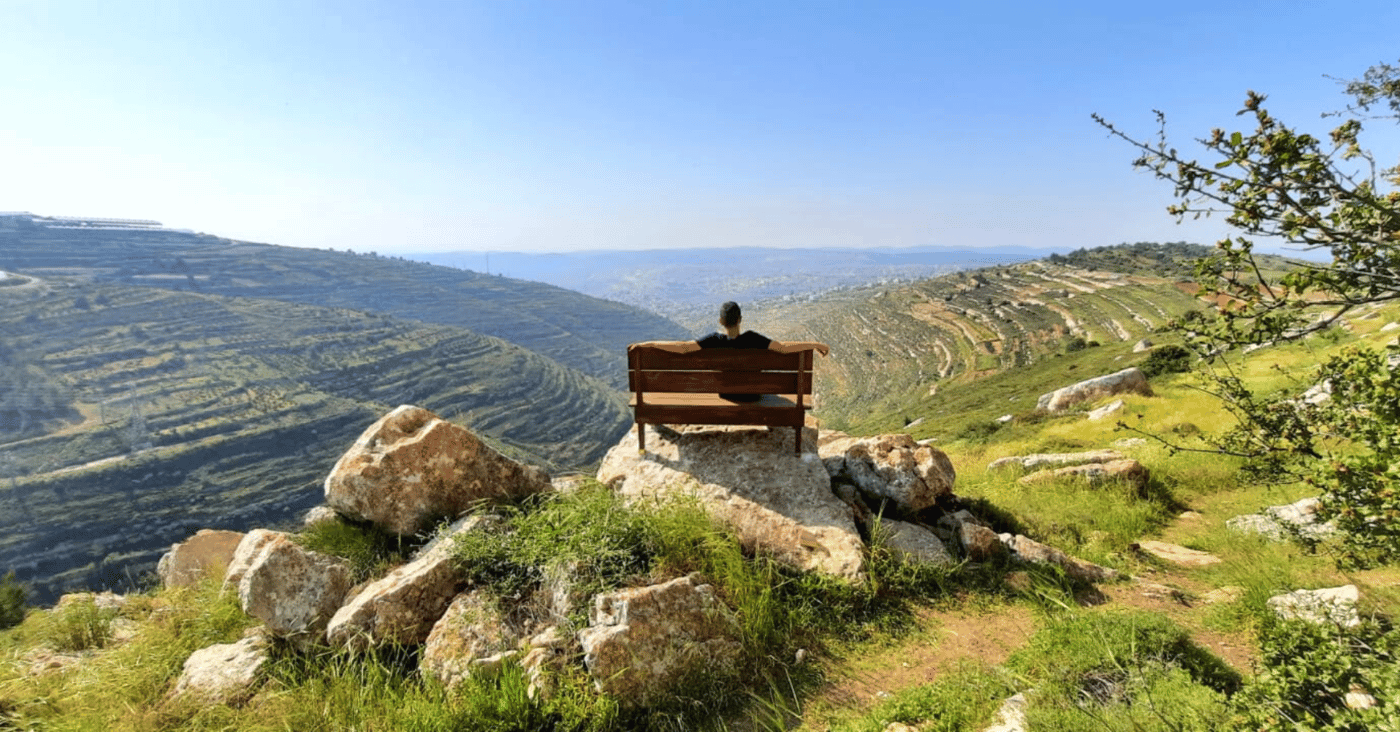 ספסלים בדרך האבות-.ליאור שכטר