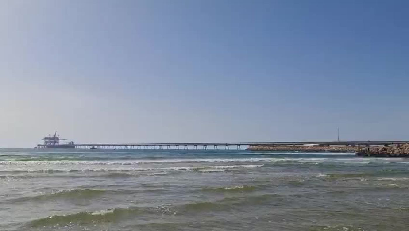סוף עצוב: הממצאים אישרו כי הצוללן נטרף למוות בידי כריש