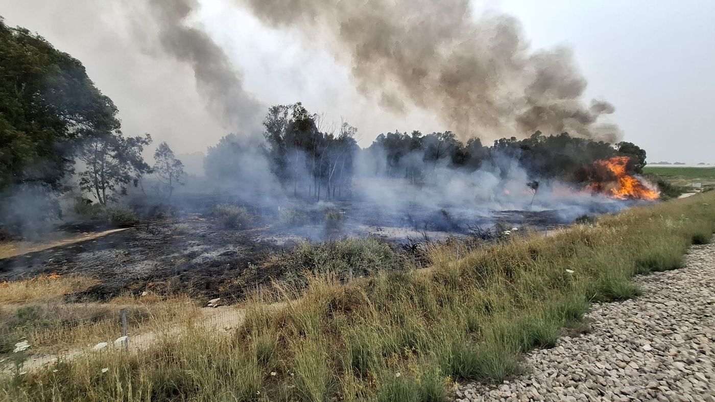 תיעוד מהשריפה בשמורת הטבע מעיינות גיבתון.