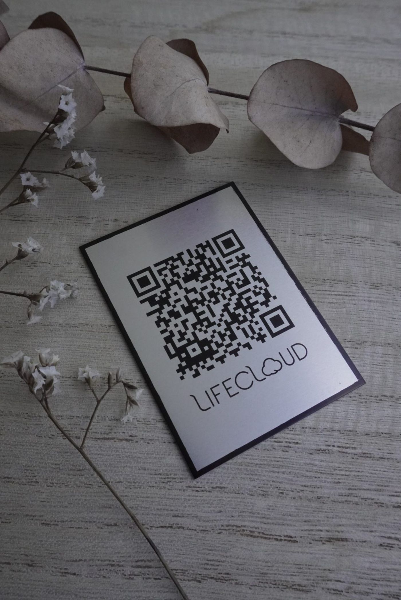 ברוקד לפרופיל הנופל (צילום Lifecloud)