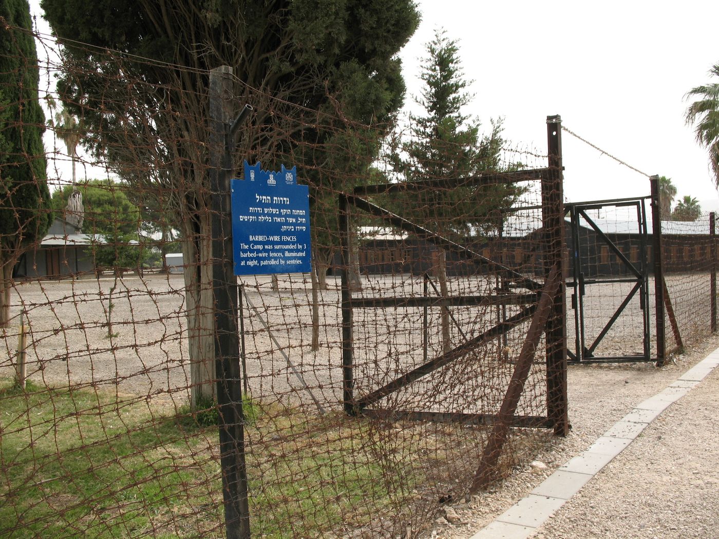 עתלית (צילום קובי פינקלר, סרוגים)
