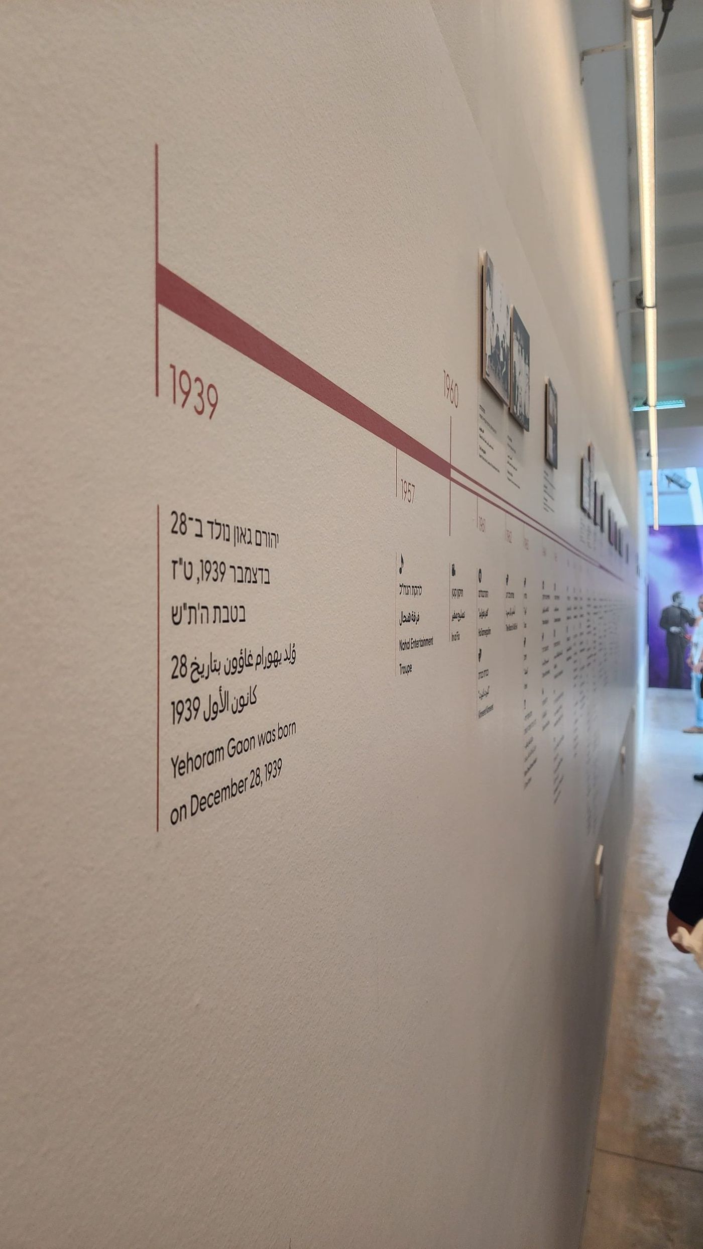 ציר הקריירה של גאון, מלידה ועד היום. נמשך עד אין סוף (צילום סרוגים)