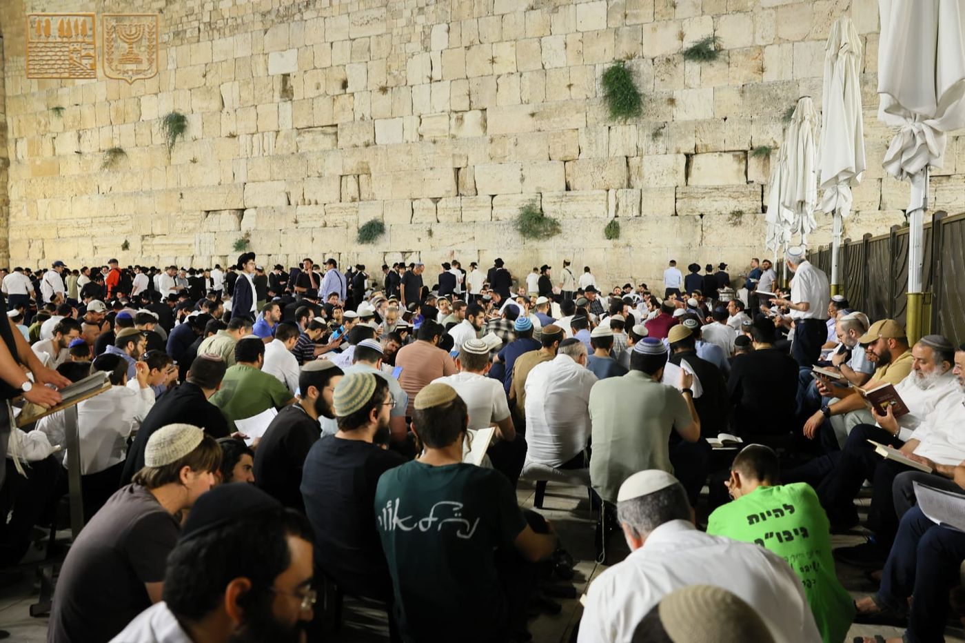 אלפים בכותל המערבי: צפו בקריאת מגילת איכה בשידור חי