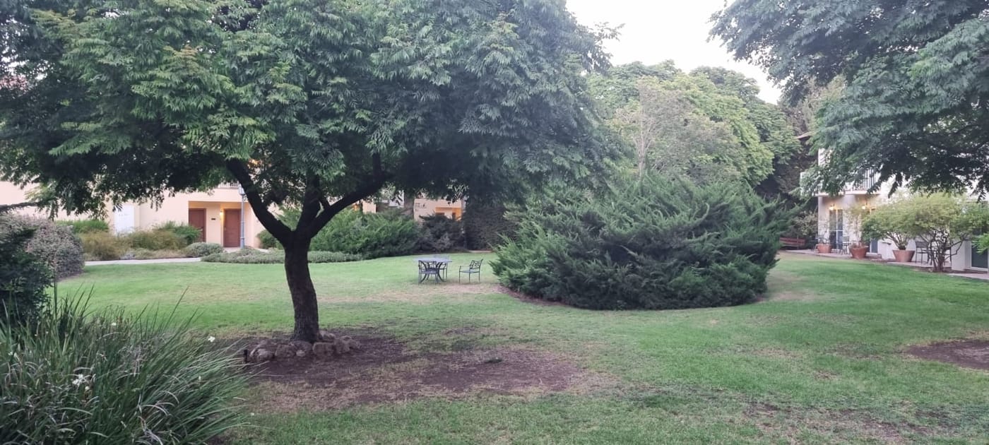 "לא בשמיים": חגיגת תרבות והוקרה לגליל