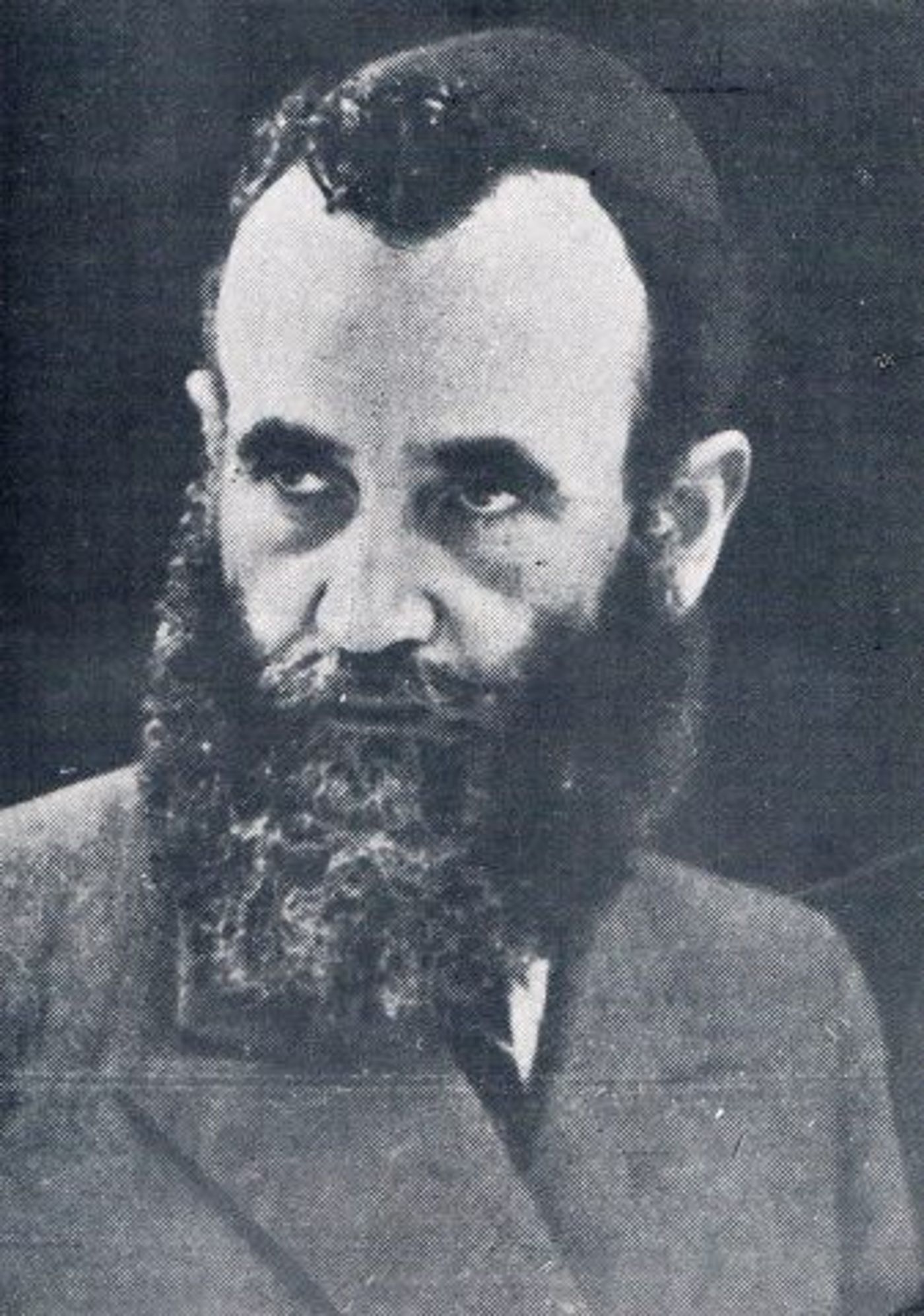 הרב ישעיהו שפירא, האדמו"ר החלוץ (ויקימדיה)