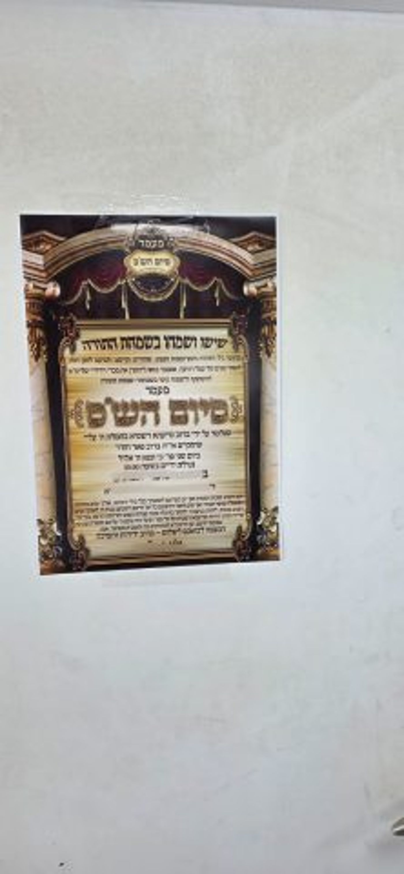 (צילום: חיים גרינבוים)