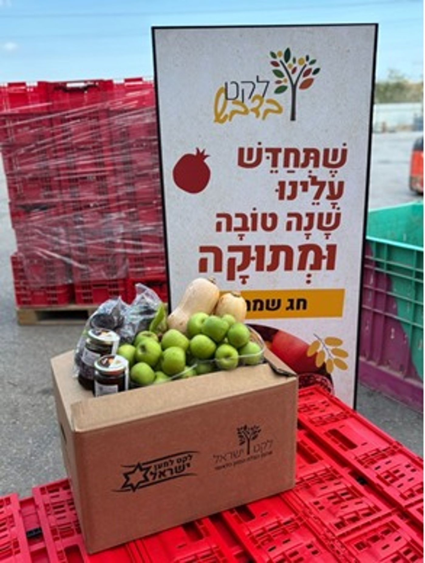 משפחה
ממוצעת צפויה לזרוק מזון בשווי של כ-600
₪ בחגי
תשרי