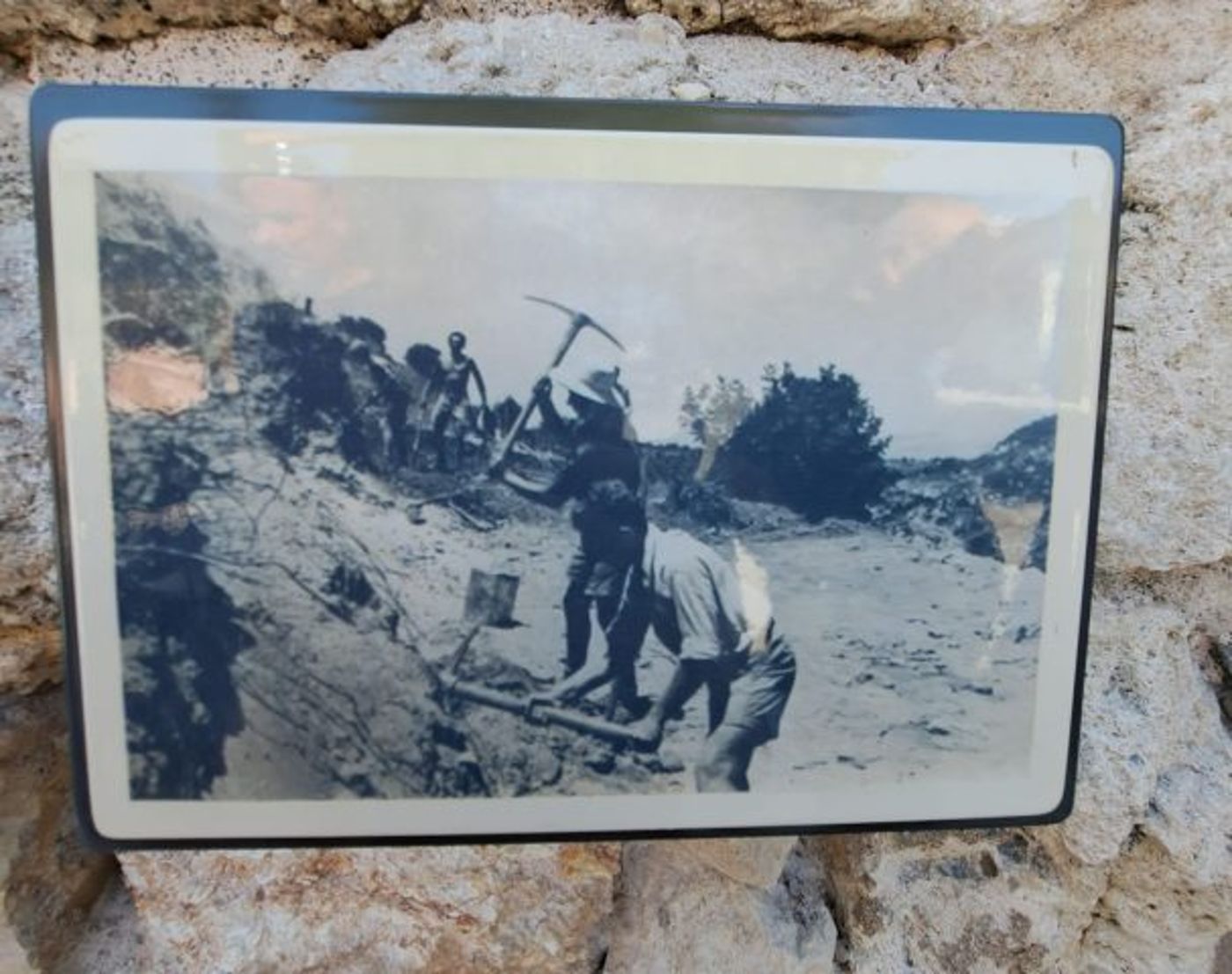 משמר הכרמל.