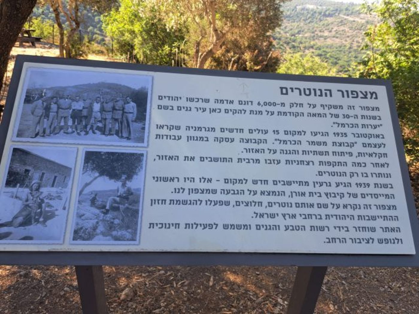 מצפור הנוטרים.