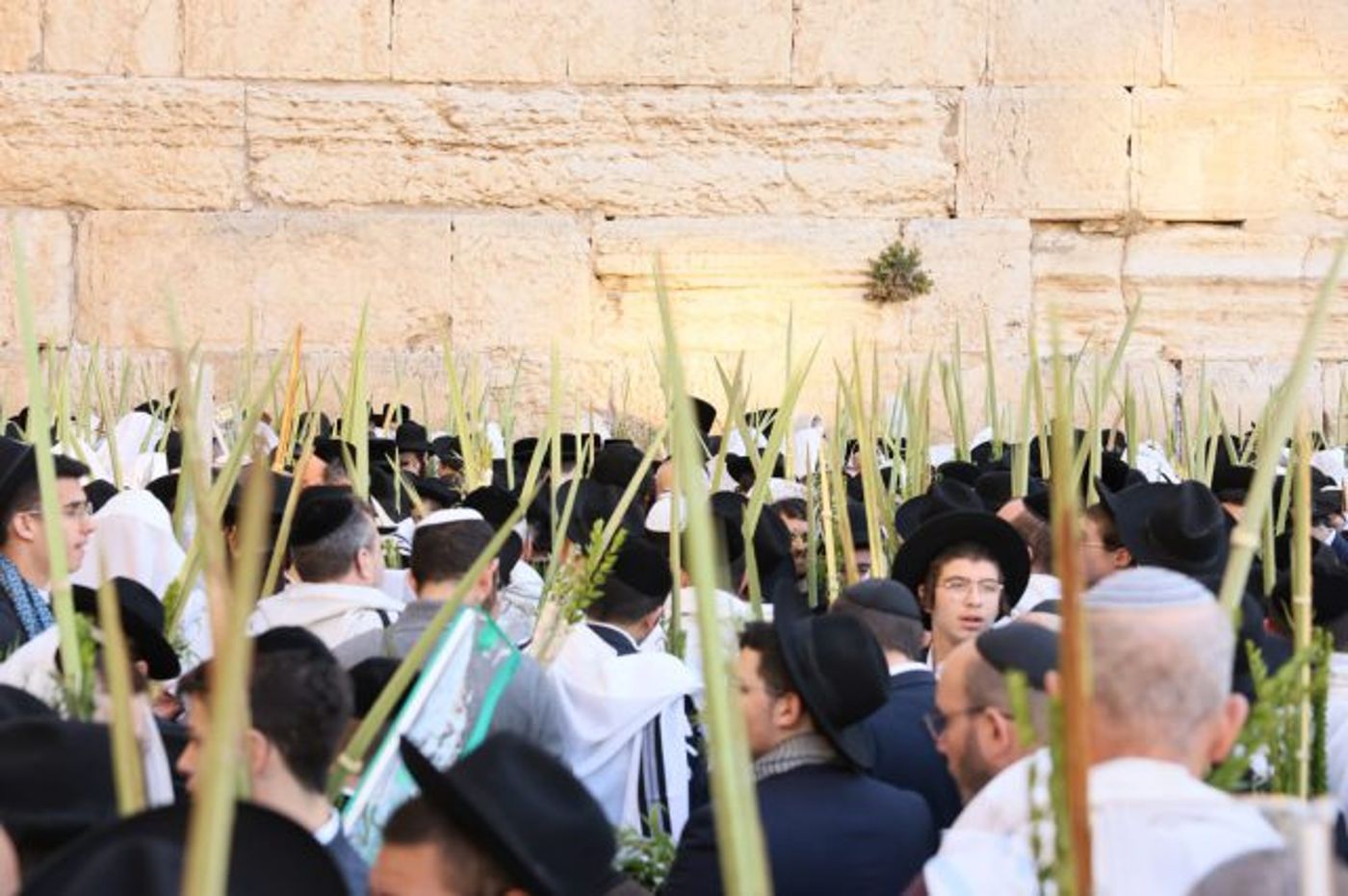 ברכת כהנים בכותל בשנה שעברה.