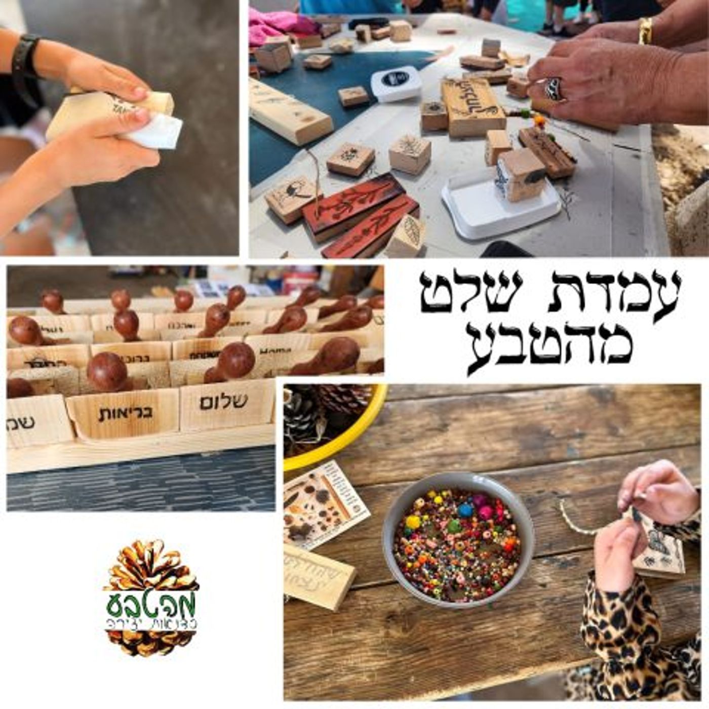 פסטיבל סוכות ירוק