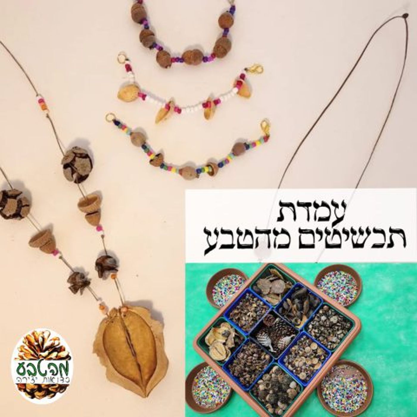 פסטיבל סוכות ירוק