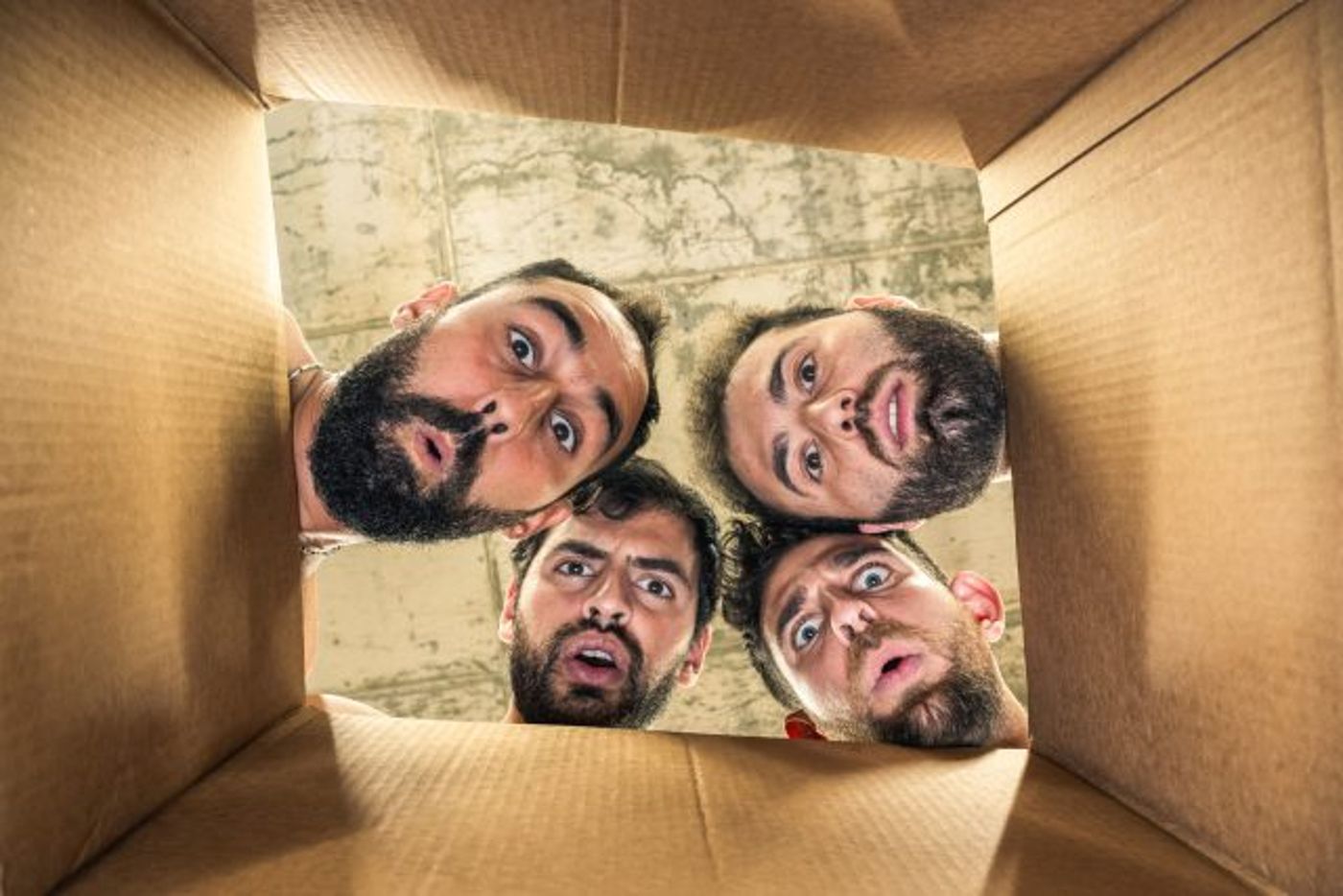 סוף תרנגול (צילום יונתן בגר)