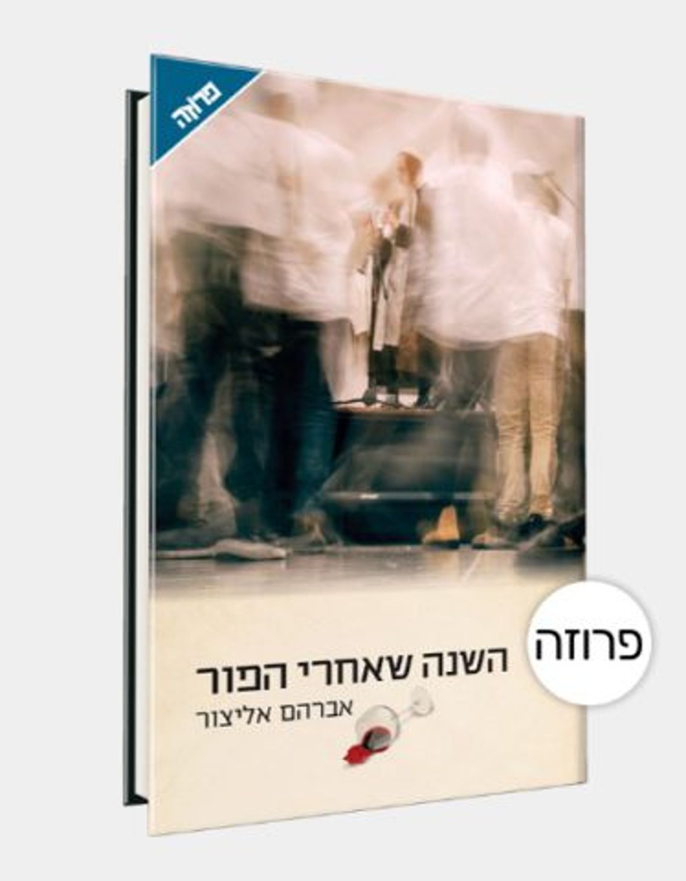 כריכת הספר – "השנה שאחרי הפור".