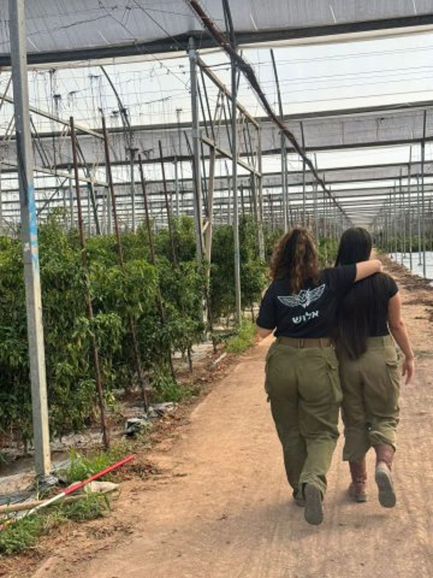 לוחמי אוגדה 98 בהתנדבות בעוטף (ללא קרדיט)