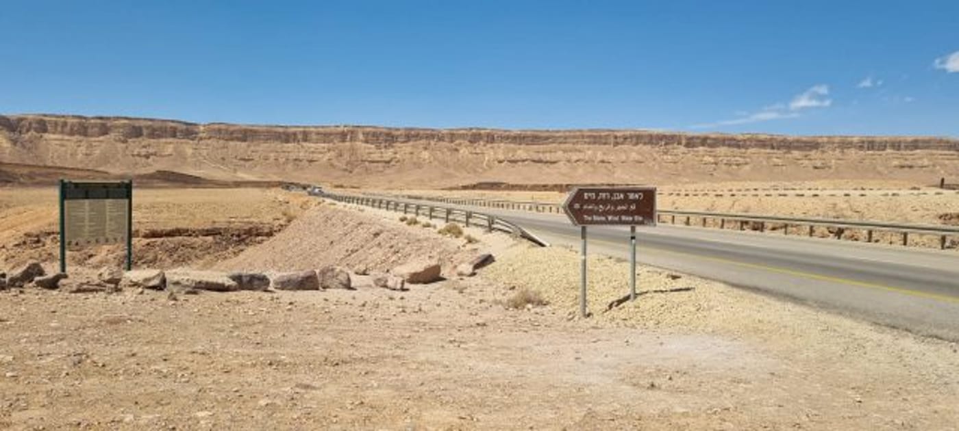 מרכז הצלה לצבי ים וגוזל נשר חדש: שנה משמעותית לחיות הבר בארץ