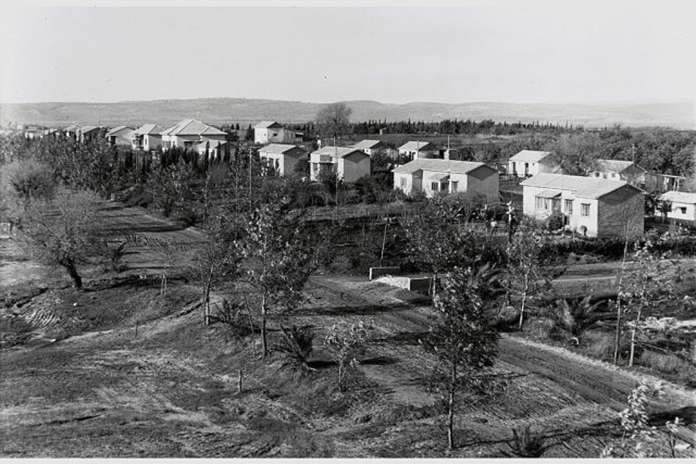 פרדס חנה בימיה הראשונים