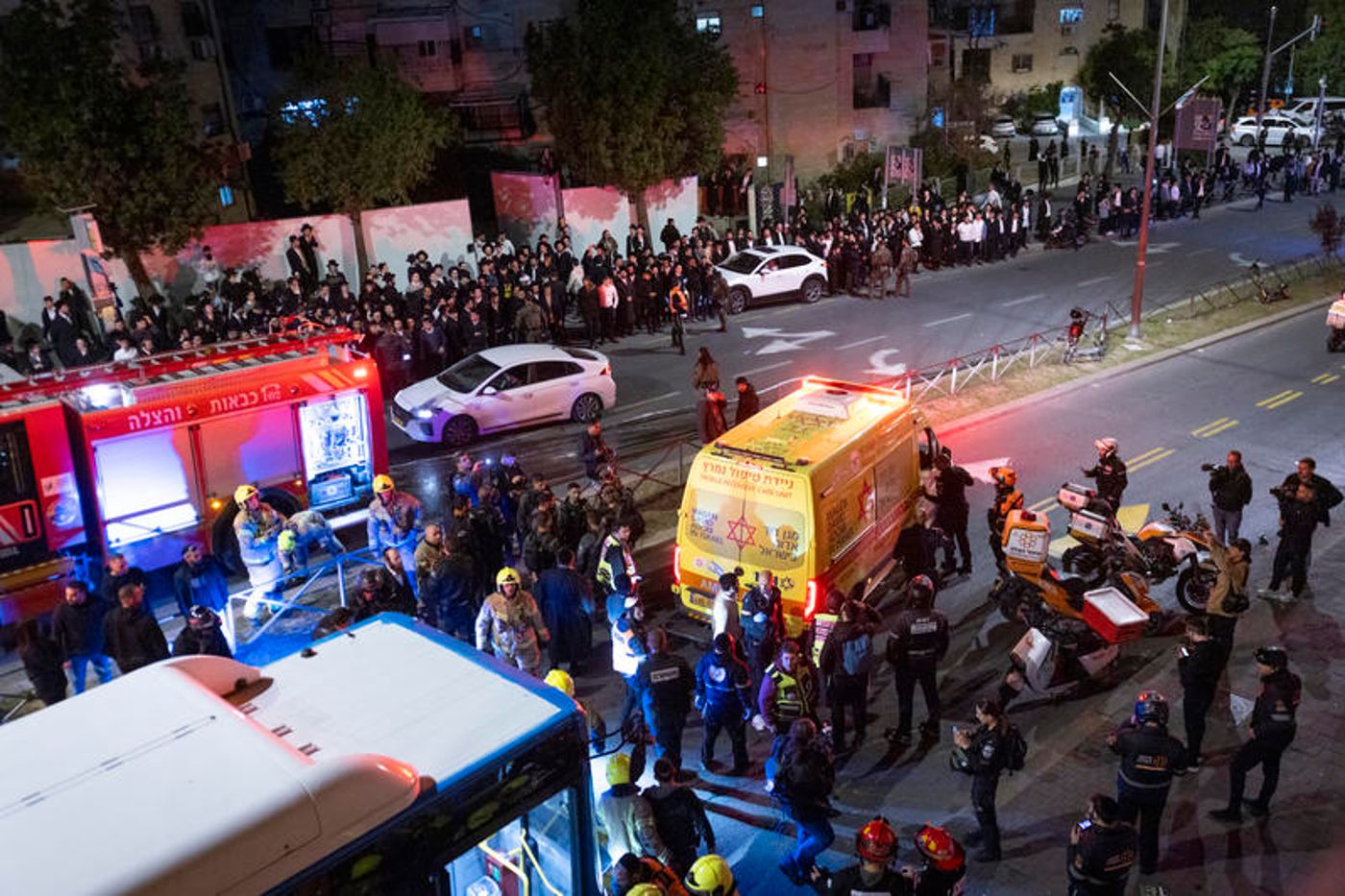 המשטרה חוזרת בה: נהג האוטובוס בי-ם לא חשוד ברצח – אלא בהמתה