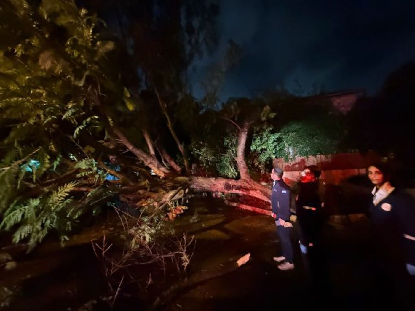 נזקי מזג האוויר: שלושה נפצעו עקב הרוחות העזות במהלך הלילה