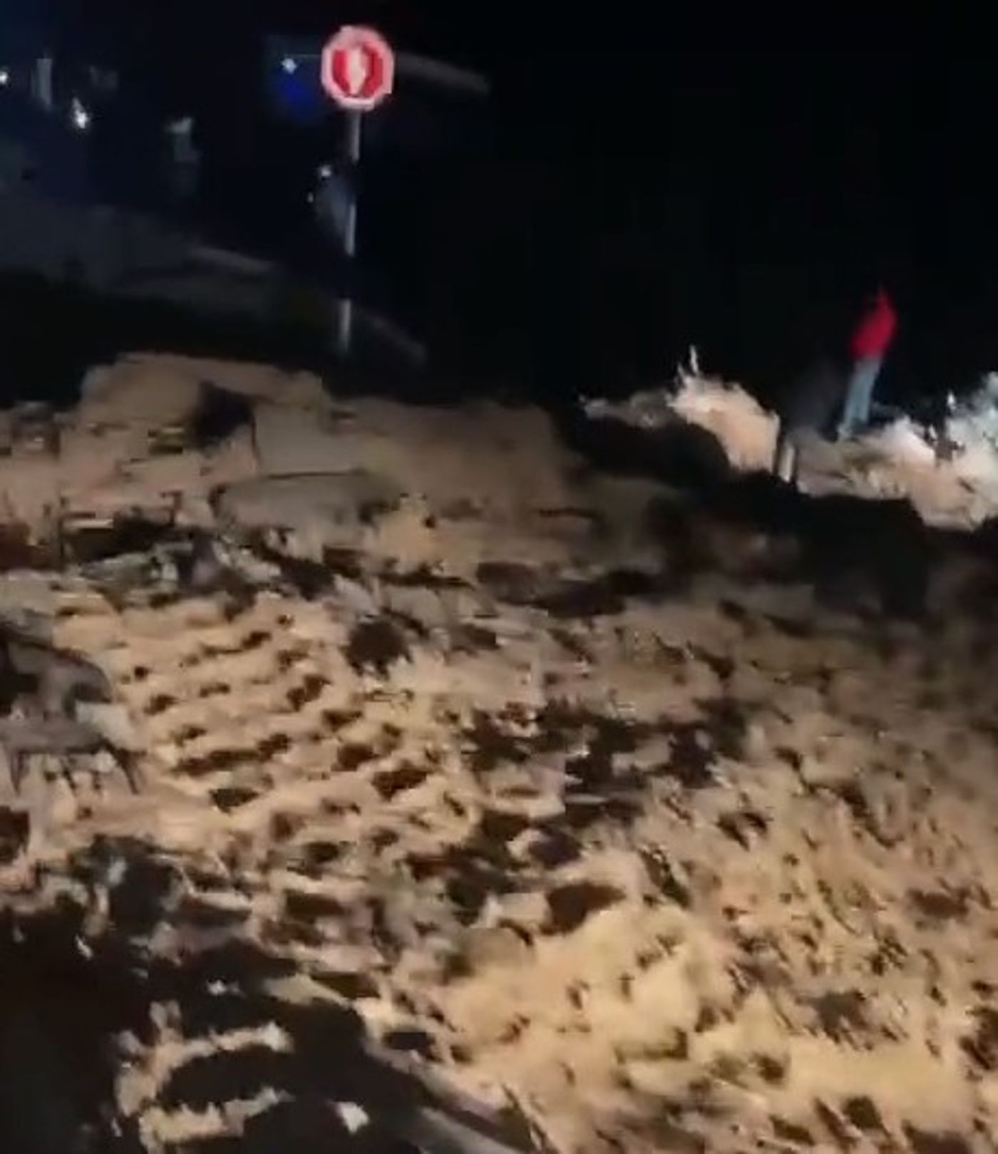 שבוע אחרי הסלילה: צה"ל הרס את כביש הרוחב הפלסטיני