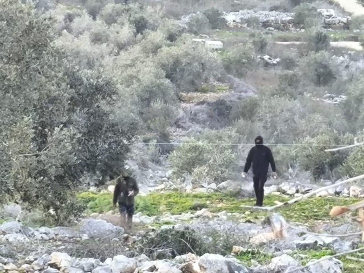 עשרות פורעים ערבים תקפו תושבים צפונית לקדומים