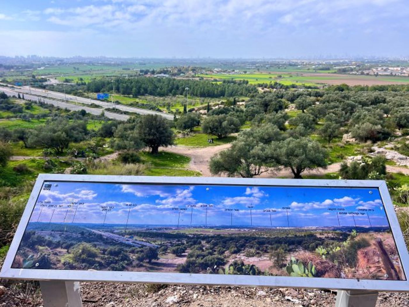 בשביל הפרחים בחבל מודיעין (צילום אבנית סטרולוב)