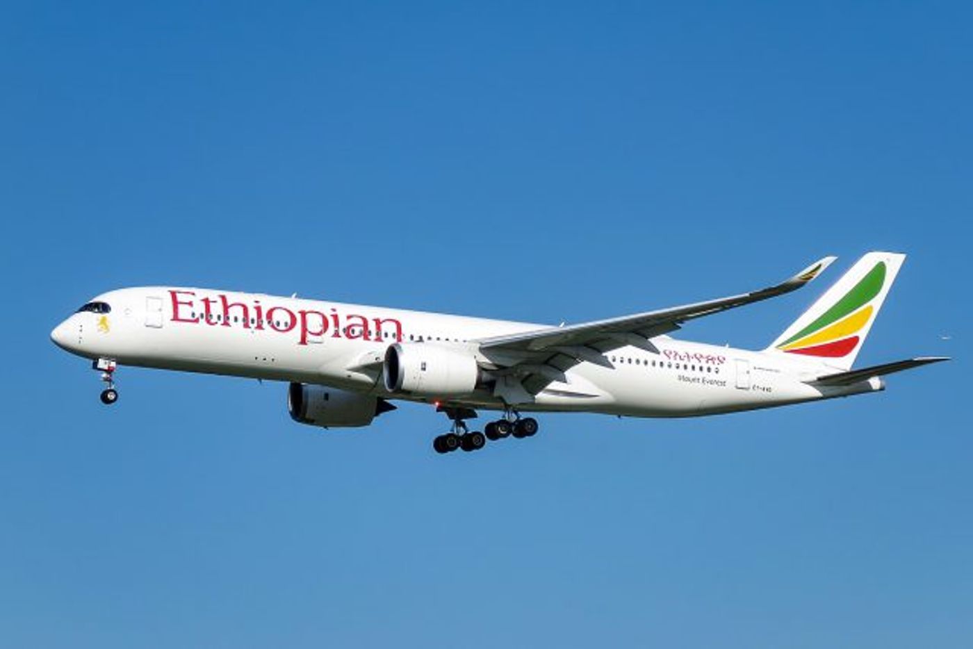 Ethiopian Airlines (צילום יחצ)