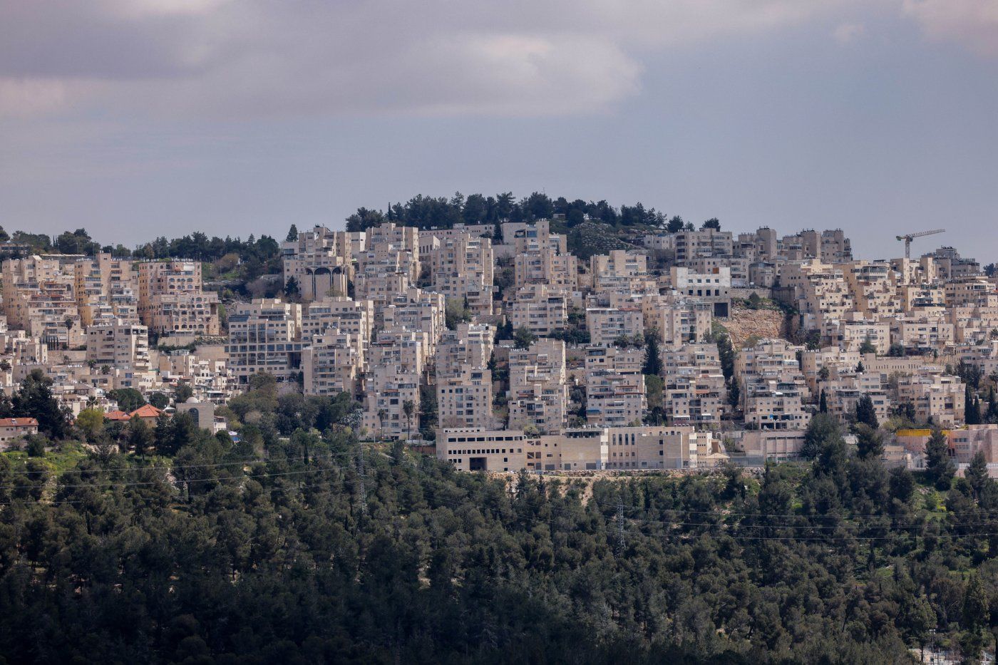 שכונת הר נוף. הרקע לסיפור. צילום: נתי שוחט/פלאש90