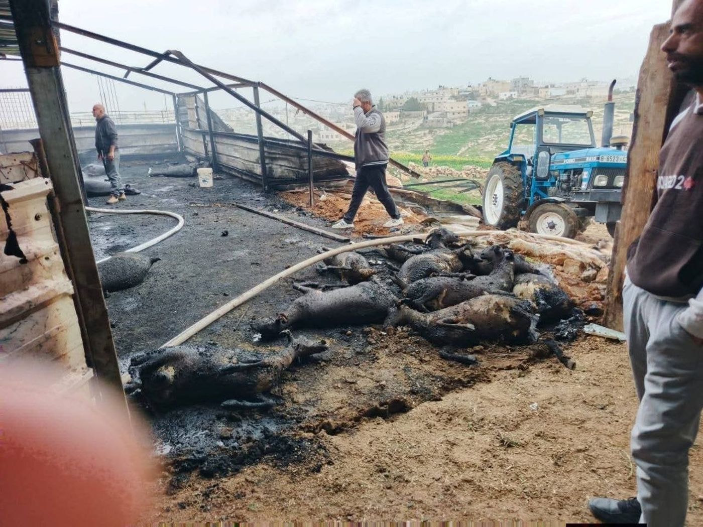 תיעוד מהשריפה