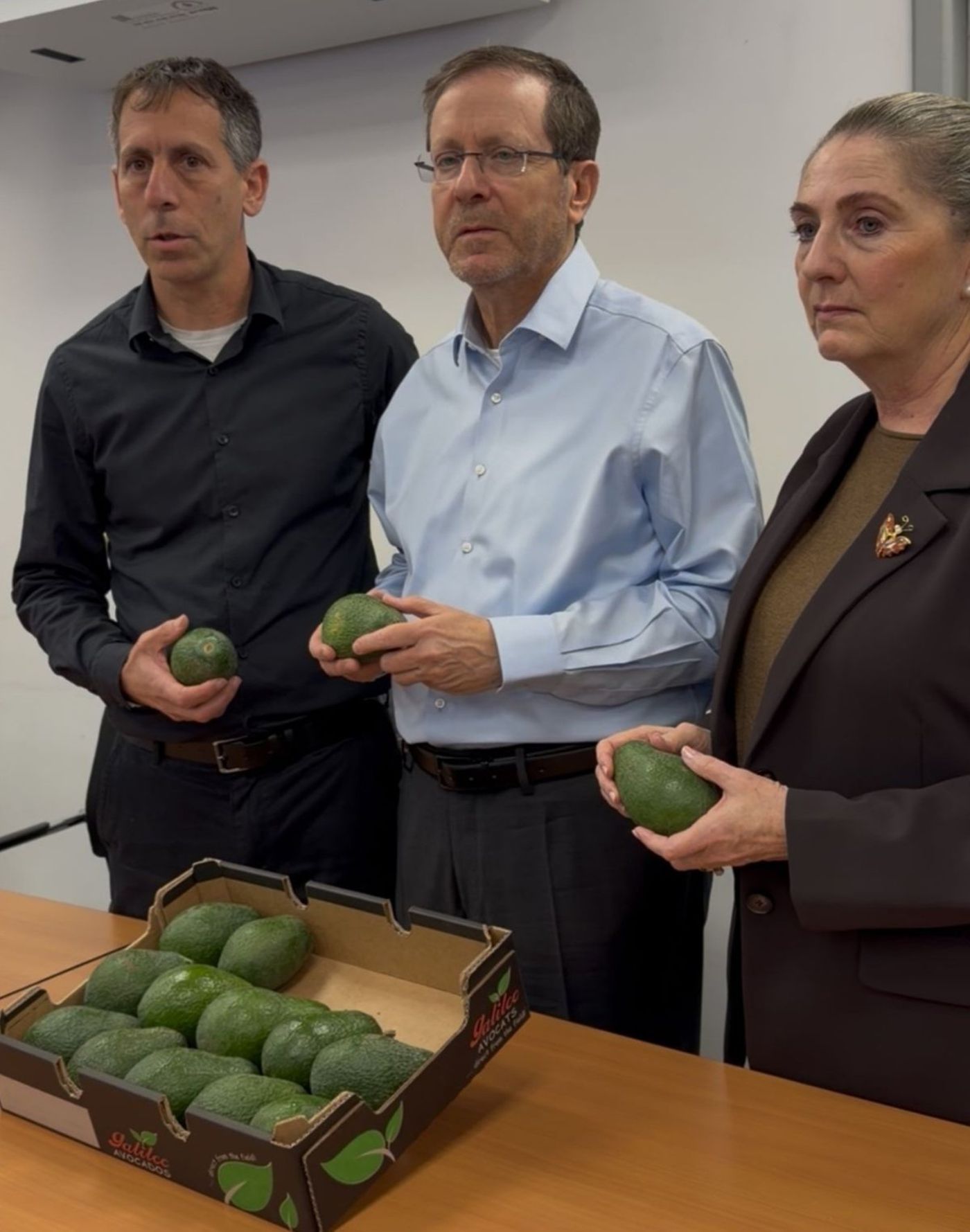 מטע האבוקדו של מושקוביץ ז