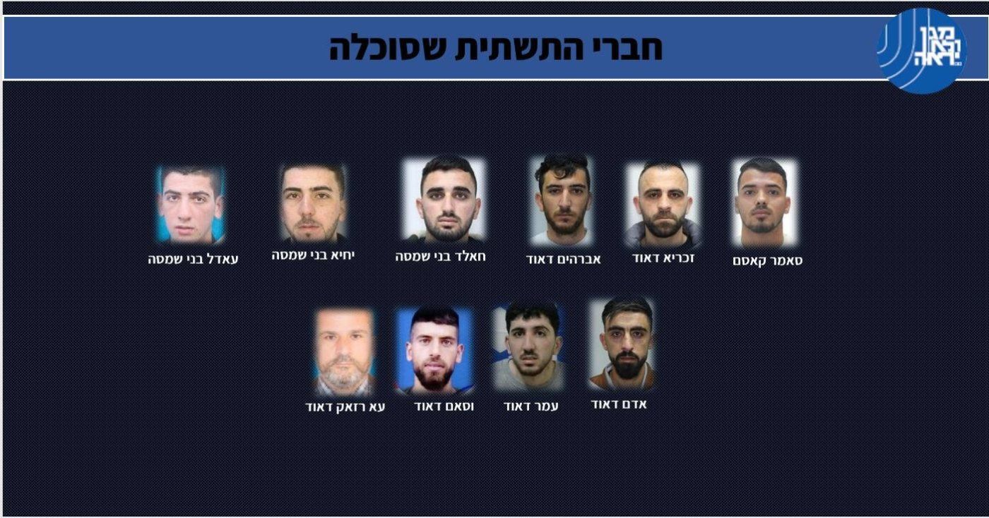 חברי החולייה שנתפסו