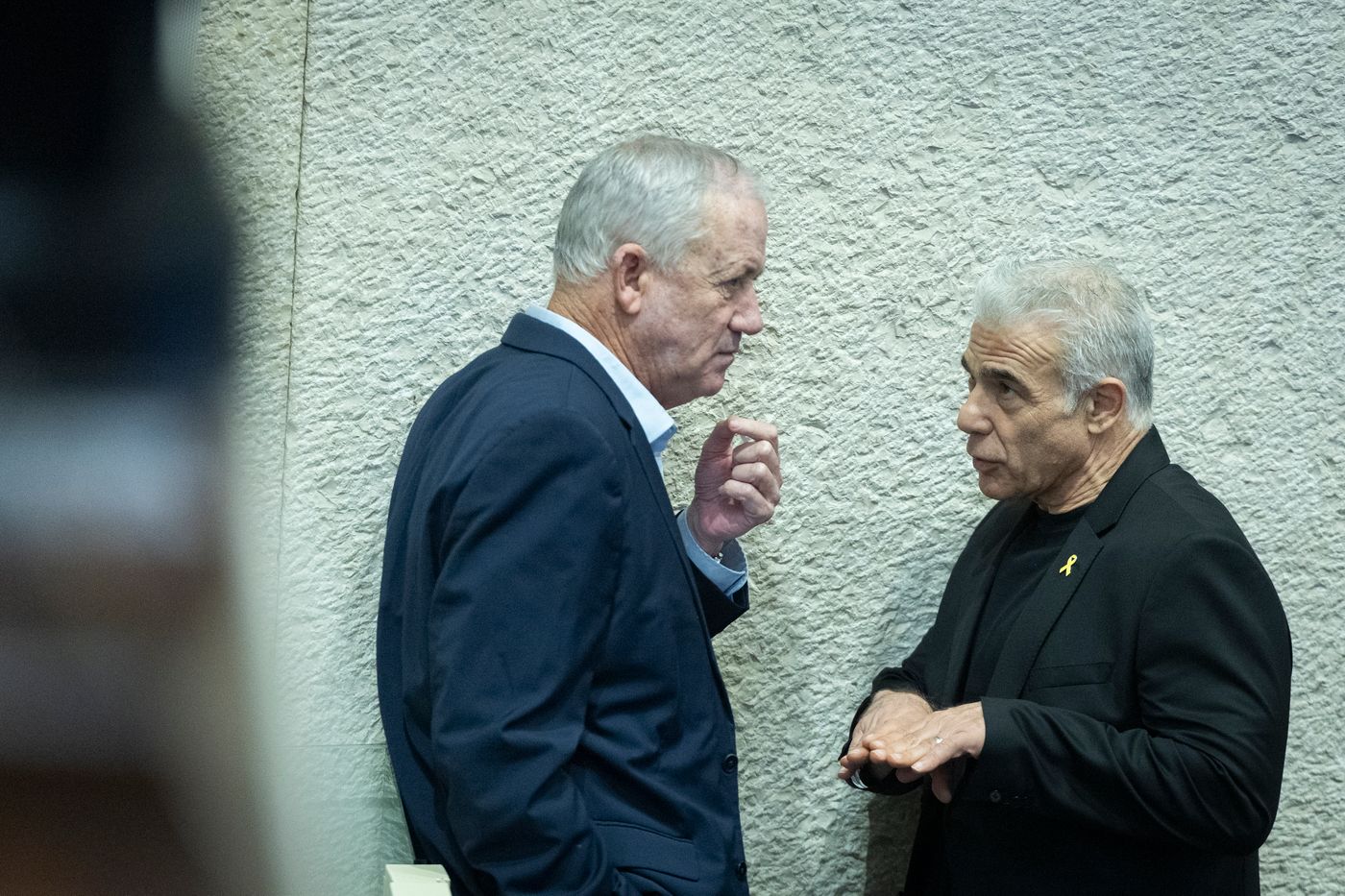 גנץ ולפיד