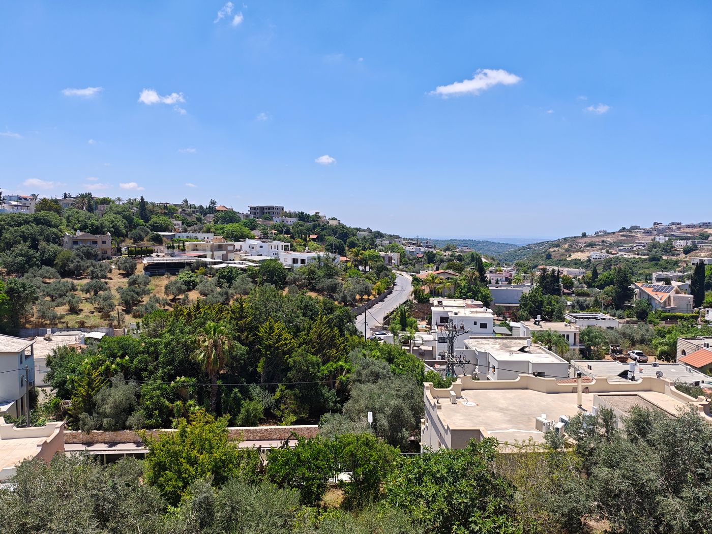 דלית אל כרמל