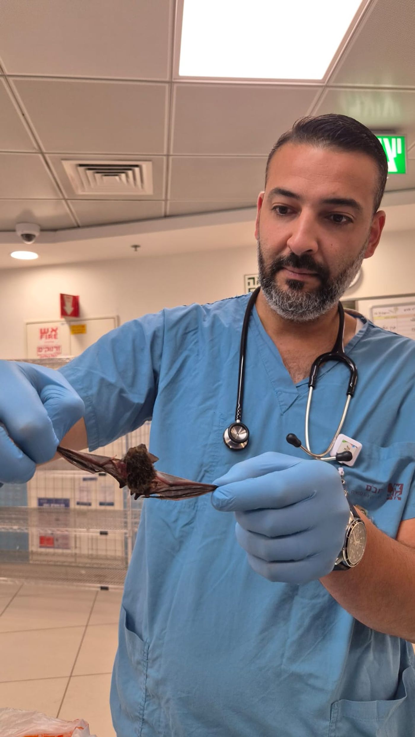 ריאד שיח', אח אחראי במלר"ד הילדים ברמב"ם והעטלף