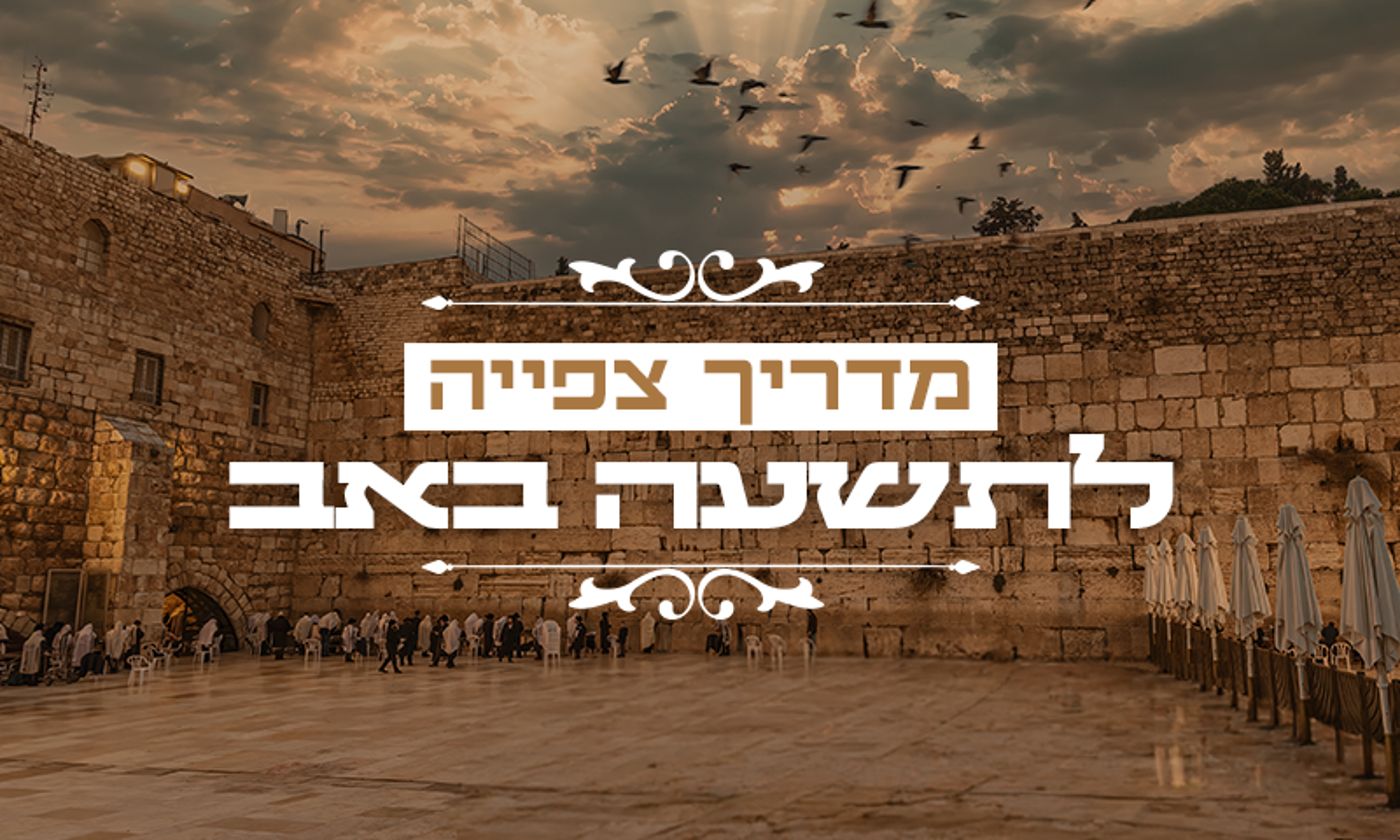 מדריך צפייה לתשעה באב: סרט דוקו מרגש ושידור חי מהכותל