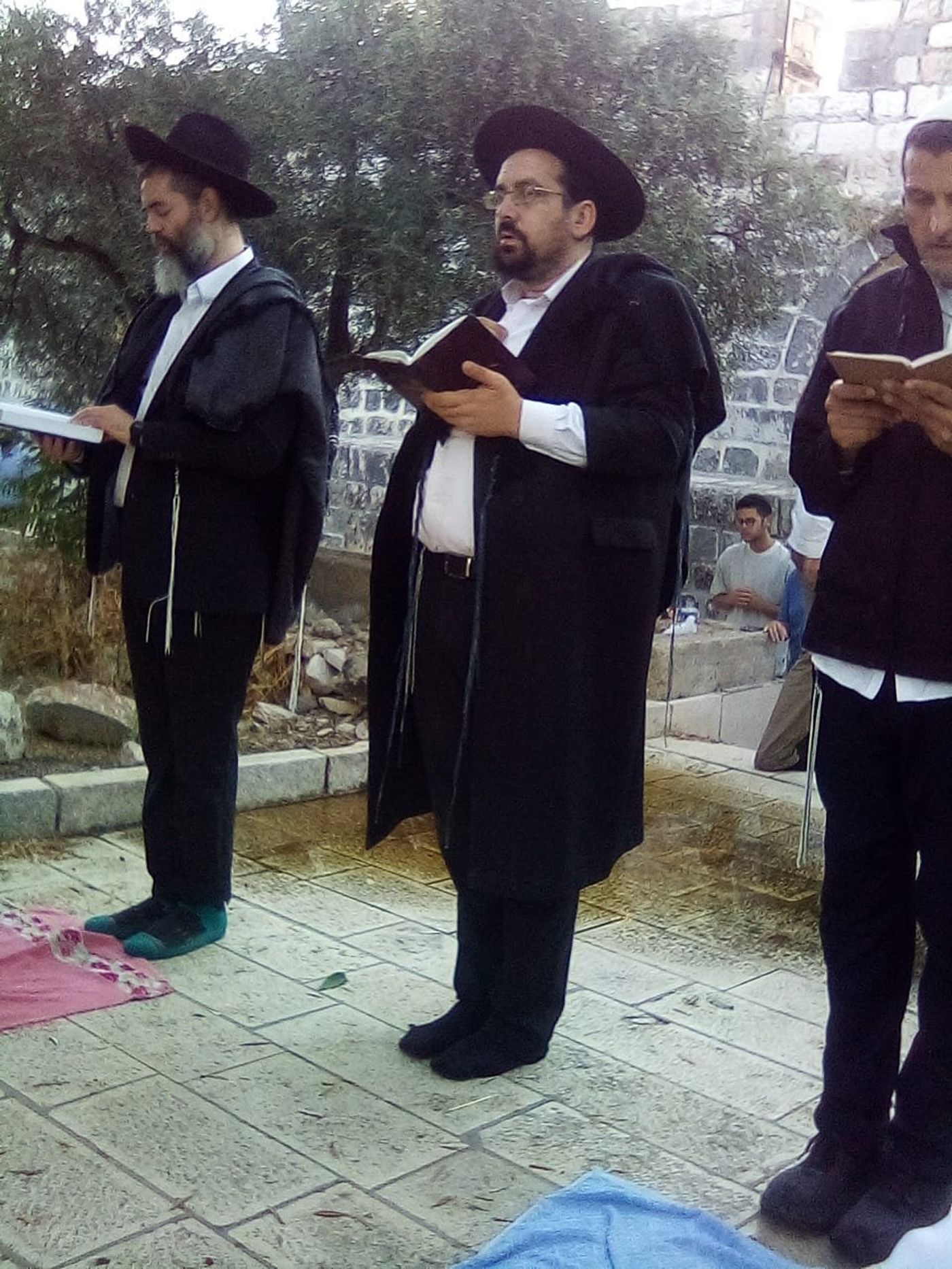 העולים להר הבית מתפללים מסידור