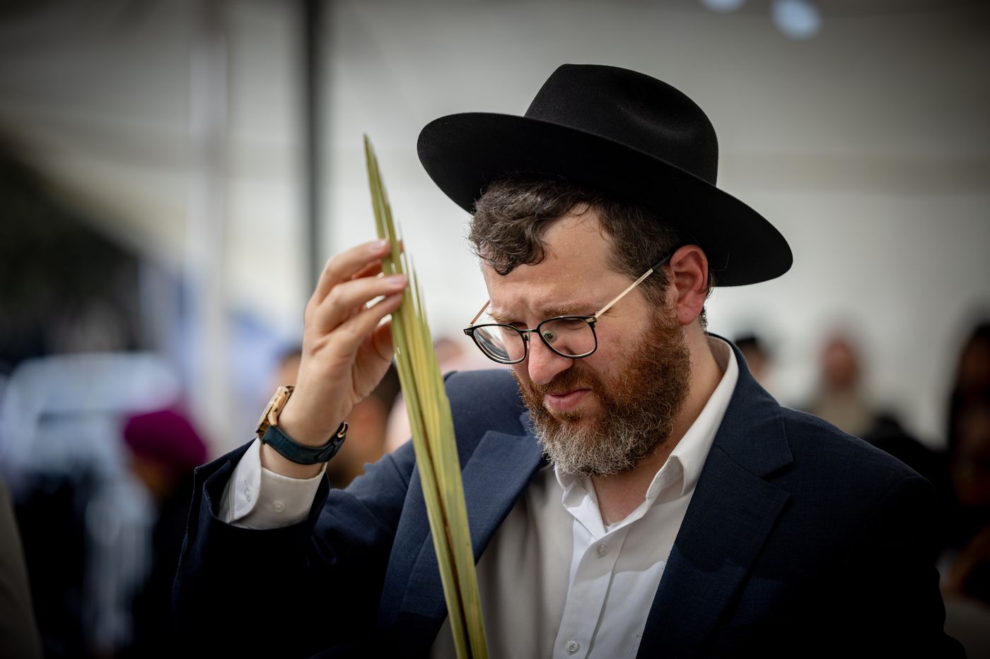 לולב ישר וסגור