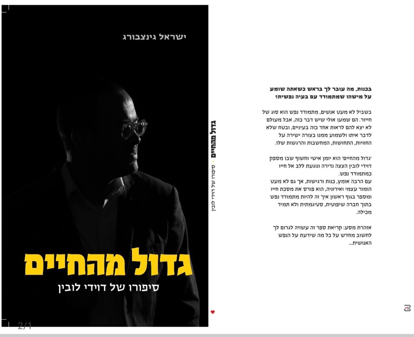 כריכת הספר שחיבר דוידי לובין