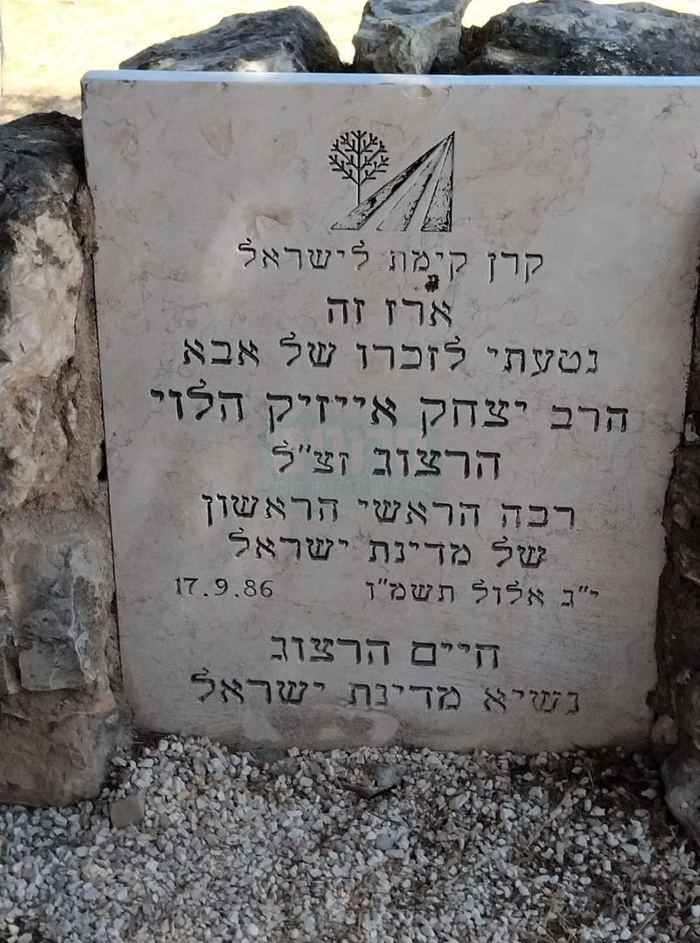 כיתוב הזיכרון ליד העץ שנטע הנשיא חיים הרצוג
