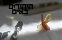 היהודים באים: מה שבערוץ 1 לא רצו שתראו