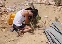 הכלב הגנוב אותר ברהט; צפו באיחוד המרגש