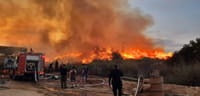 בלתי נתפס:הנתונים מאחורי טרור הבלונים נחשפים