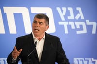 הקלטות אשכנזי נחשפות: הכלבים האלה מבינים רק כח