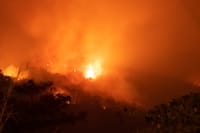 בעקבות השריפות באמזונס: 20 מיליון דולר יועברו לסיוע