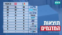 סיכום המדגמים