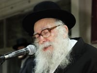 להגיד שהרב קרליץ היה שייך למגזר הליטאי זו קטנות
